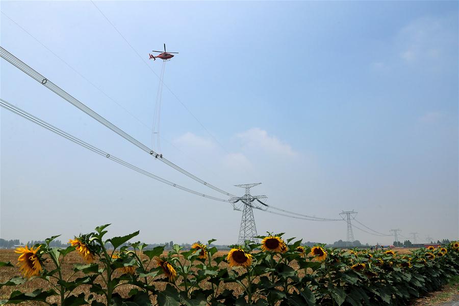 （社會(huì)）（1）直升機(jī)“吊人”檢修特高壓線路在河北完成