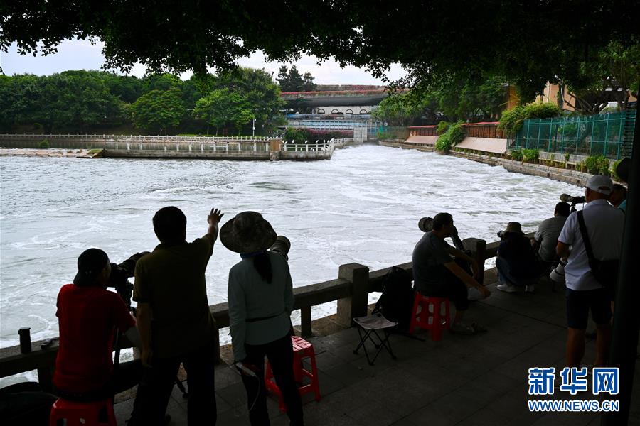 （特區(qū)40年·圖文互動）（2）高顏值的生態(tài)花園之城——廈門生態(tài)建設觀察